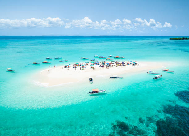 Safari Blue Day Trip